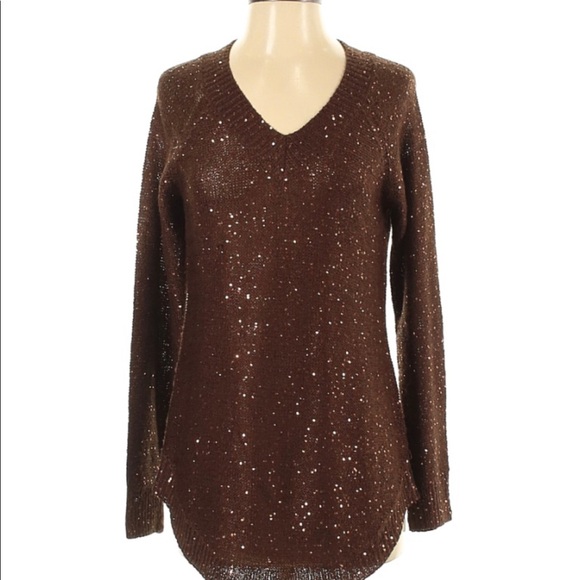 Soft Surroundings Sweaters - Soft Surroundings Brown & Gold Shimmer Sweater XS